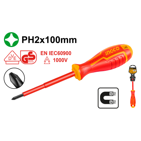 CACCIAVITE ISOLATO PH2X100MM