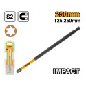CACCIAVITE BIT 250 MM MAGNETICO T25
